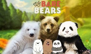 We Bare Bears Characters vs Wild Bears