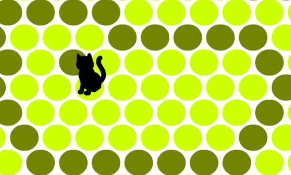 Play Circle the Cat on mobile