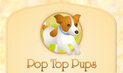 Molly: Pop Top Pups