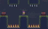 One Trick Mage | NuMuKi